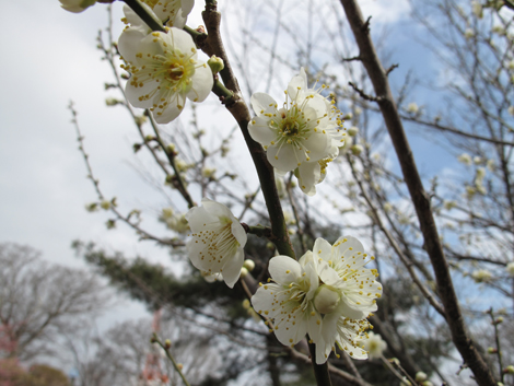 20180223hike (115)
